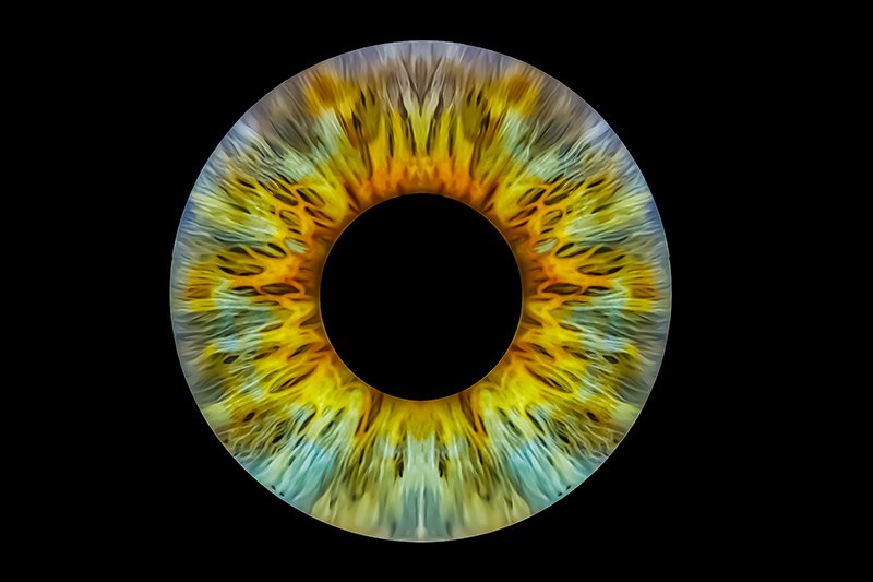 Iris Photography in Dubai